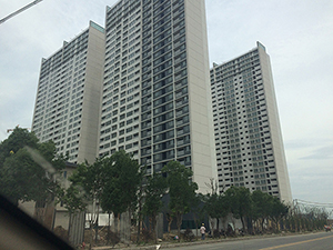 裕沁庭東區(qū)開(kāi)荒保潔